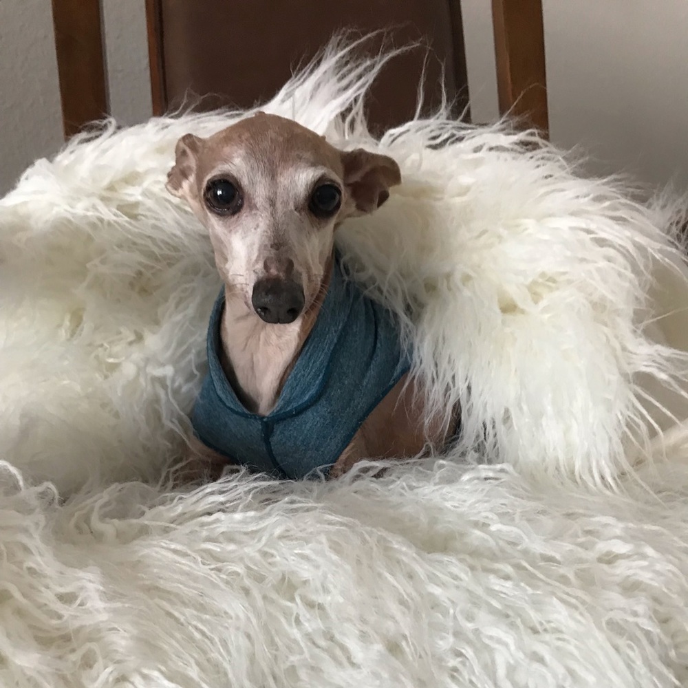 Meet your Posher, Mimichele